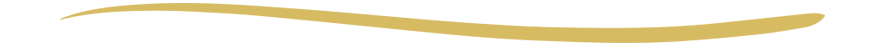 Decorative underline divider.