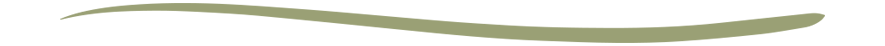 Decorative underline divider.