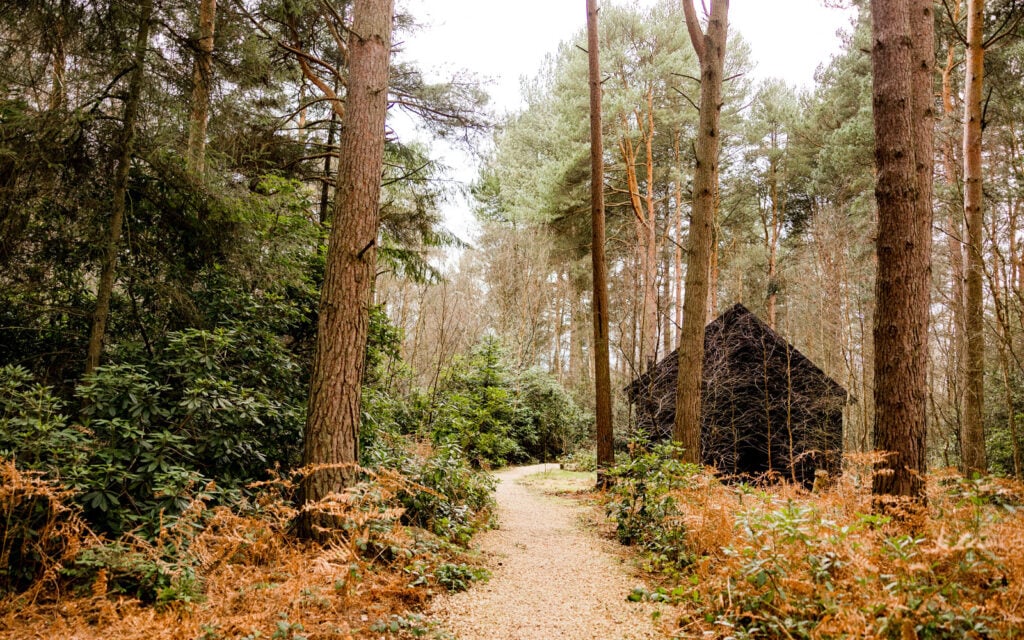 Woodland path leading to a bothy at Dreamery Hideaway