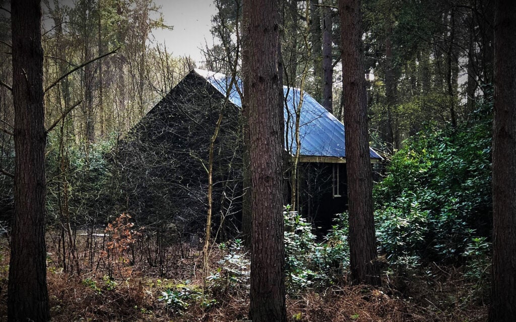 Hidden woodland bothy among trees at The Dreamery Hideaway