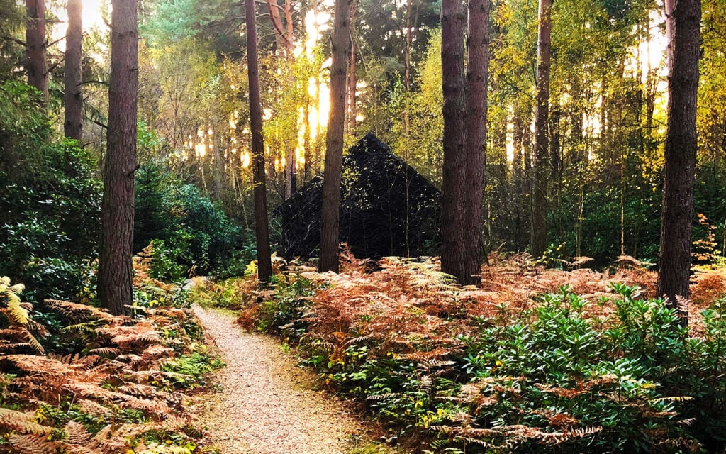 Woodland path leading to a bothy at The Dreamery Hideaway