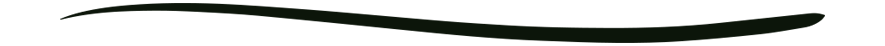 Decorative underline divider.